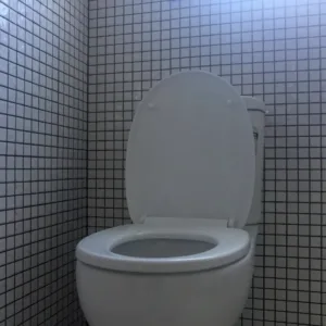 WC Commode